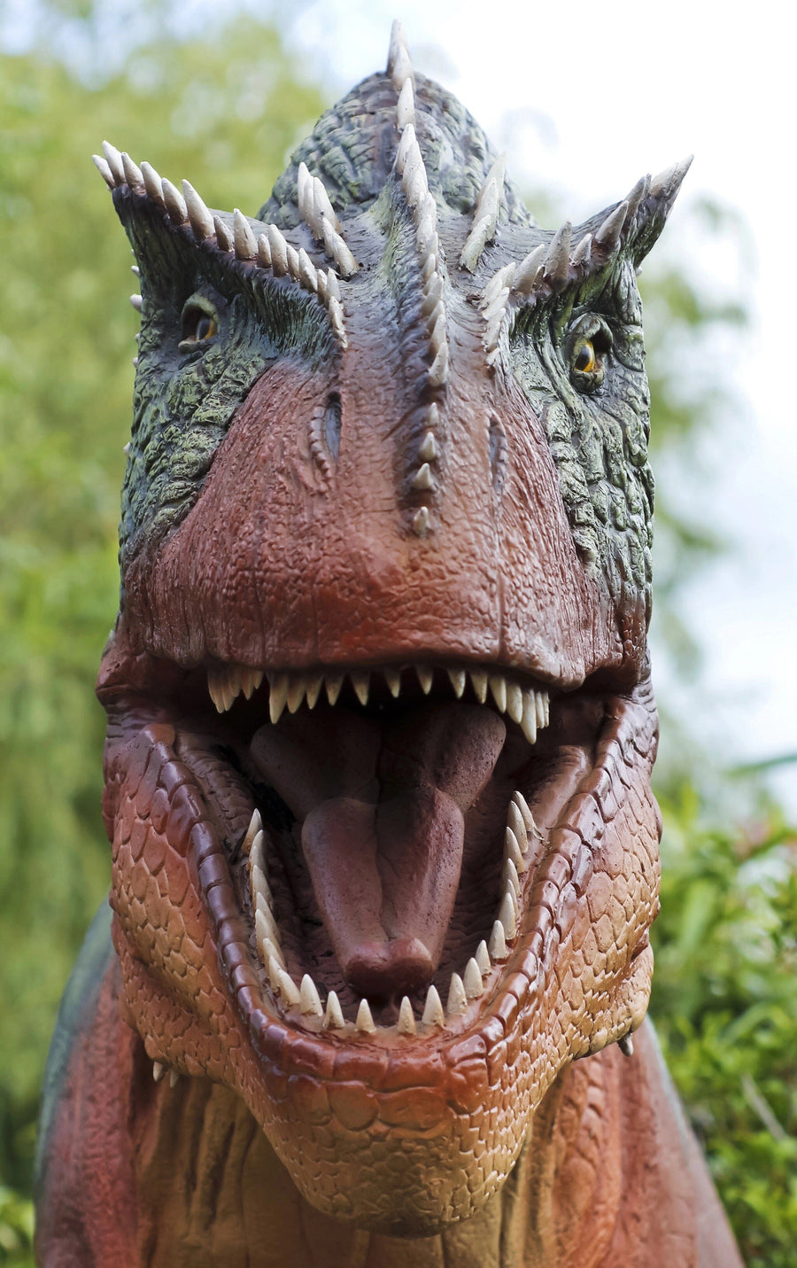 Allosaurus Hunts Peel and Stick Wall Mural Peel and stick Wall Mural Color Original Custom Size