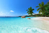 The Anse Lazio Beach Wall Mural features a tropical beach scene with turquoise waters on white sand, tall palm trees casting shadows, large rocks at the water's edge, and a backdrop of lush greenery lining the coast under a clear blue sky.