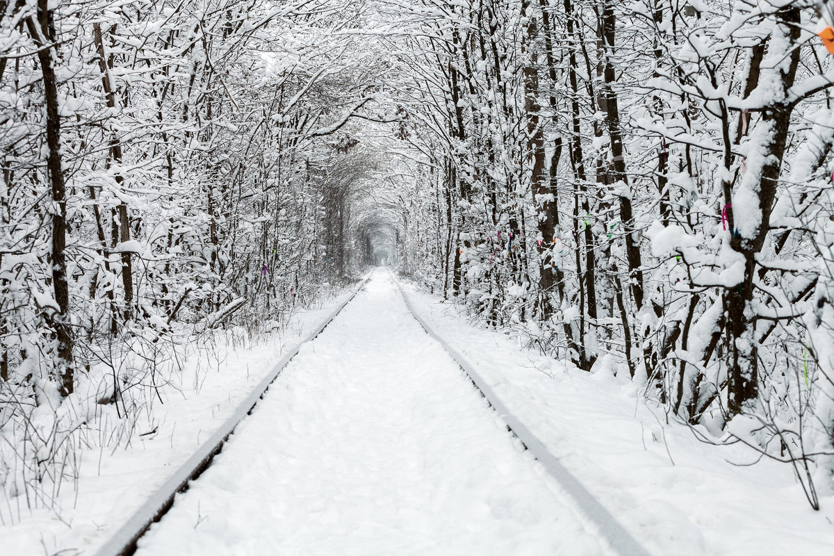 A Railway in the Winter Forest Tunnel Wall Mural