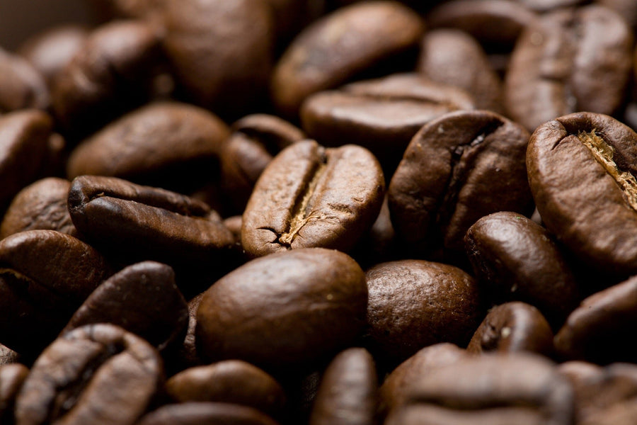 A modern cafe with high tables, stools, industrial lighting, and bar seats by large windows features the Aromatic Coffee Beans Wall Mural on the back wall, adding cozy warmth and style with its rich brown coffee bean design.