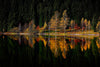 reflection of trees on the lake – Peel and Stick Wall Murals