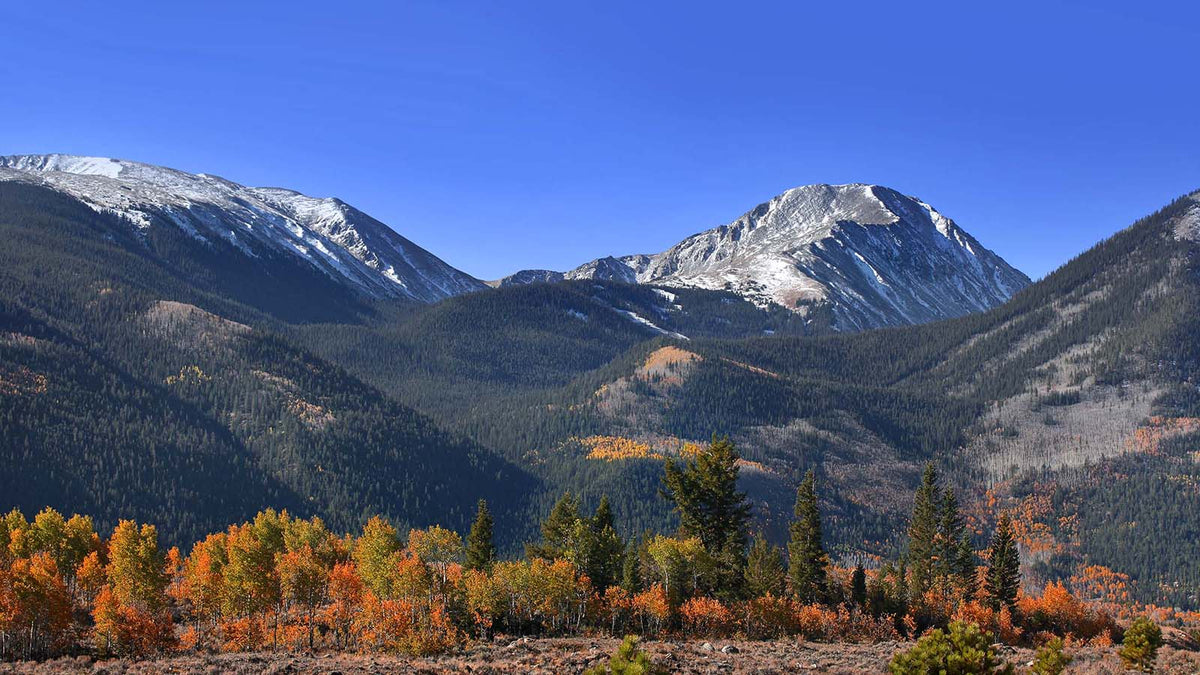 Autumn in the Colorado Rocky Mountains Wall Murals