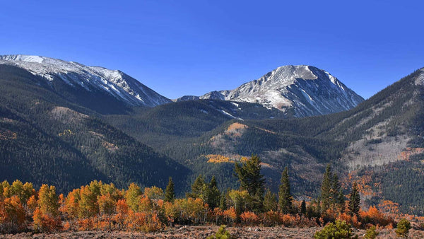 Autumn in the Colorado Rocky Mountains Wall Murals Wallpaper Mural Deposit Photo Color Original Custom Size