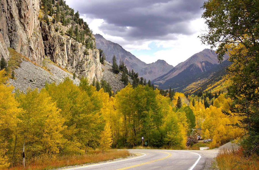 Autumn On A Colorado Mountain Road Wall Mural Wallpaper Mural Color Original Custom Size