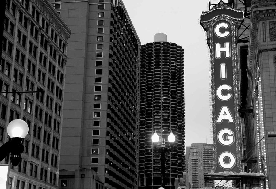 The Chicago Theater Sign Wall Mural illuminates brilliantly, perfectly capturing the essence of a towering skyscraper in the backdrop, transforming any space into a majestic urban landscape.