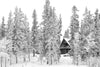 Christmas Cottage in Winter Wonderland Wall Mural