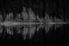 monochrome reflection of trees on the lake – Peel and Stick Wall Murals