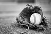 Black and white baseball in weathered leather glove on dirt – Peel and Stick Wall Murals