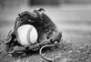Monochrome baseball and leather glove on the ground – Peel and Stick Wall Murals