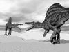 Spinosaurus Fighting Peel and Stick Wall Mural Peel and stick Wall Mural Deposit photo Black & White Flipped Custom Size