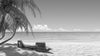 monochrome two lounge chairs on a tropical beach, surrounded by palm trees and soft white sand – Peel and Stick Wall Murals