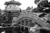 Black and white Oriental Golden Pavilion of Chi Lin Nunnery – Peel and Stick Wall Murals