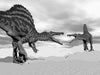 Spinosaurus Fighting Peel and Stick Wall Mural Peel and stick Wall Mural Deposit photo Black & White Original Custom Size