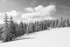 Monochrome Scenic view from above of picturesque snowy landscape with trees – Peel and Stick Wall Murals