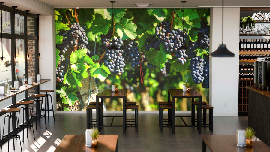 A modern café features tables, chairs, and stools. The back wall boasts the Bountiful Harvest Wall Mural with grape clusters and green leaves. Sunlight streams in, while wine bottles on shelves complete the wine-inspired décor.