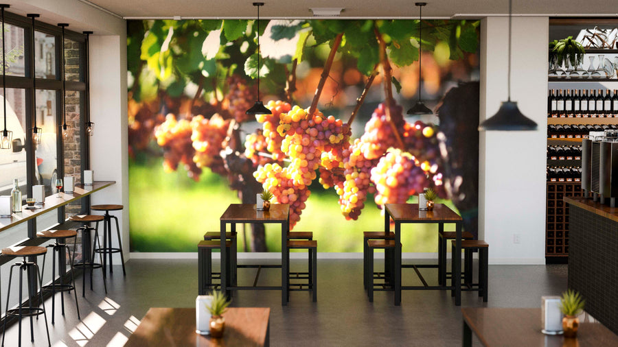A bright, modern café interior showcases the Golden Grapes Wall Mural with sunlit grape clusters. Tall windows on the left let in light, while wooden tables, black chairs, and potted plants create a fresh, inviting atmosphere.