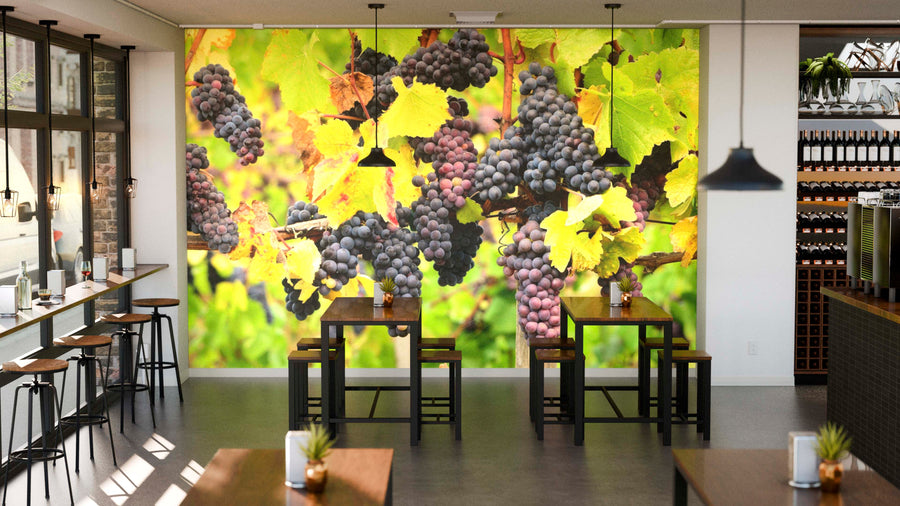 A bright cafe interior with wooden tables and chairs features the Pinot Grapes Wall Mural, showcasing vivid purple grapes and yellow-green leaves. Pendant lights hang from the ceiling, with wine bottles on shelves and sunlight streaming in.