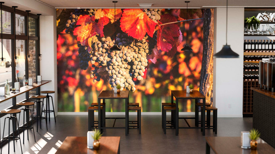 A modern café with wooden tables and black chairs features the Ripening Vines Wall Mural, showcasing grape clusters and red-orange leaves. Big windows fill the space with light, while potted plants enhance its cozy, inviting vibe.