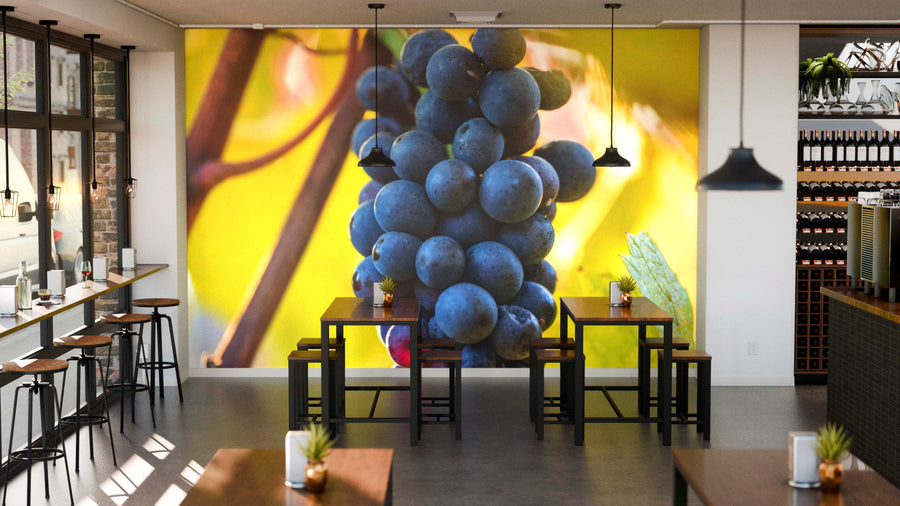 A modern café with wooden tables and stools, pendant lights, and the Sunlit Grapes Wall Mural—purple grapes on a yellow background—covering the back wall. Wine bottles, plants on shelves, and large windows brighten the space with natural light.