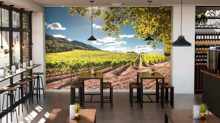 A modern café with wooden tables and black chairs features the Vineyard in Spain Wall Mural on the back wall, depicting a sunlit vineyard. Pendant lights hang above, and wine bottles are displayed on shelves.