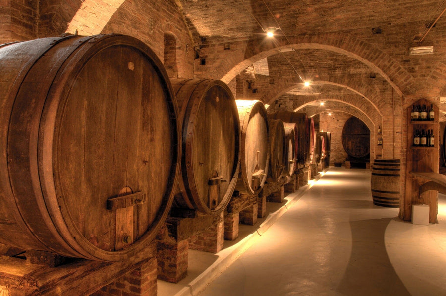Modern café interior with wooden tables, stools, and plants on each table. The back wall features the Barrel Vault Wall Mural depicting a dimly lit wine cellar with large wooden barrels and arched brick ceilings.