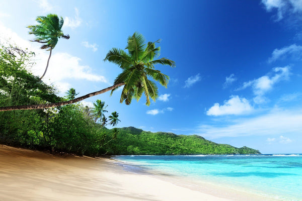 Beach in sunset time on Mahe island in Seychell – Peel and Stick Wall Murals