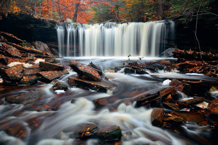 A modern living and dining area with wooden floors, blue chairs, pendant lights, a patterned rug, and an open kitchen with yellow cabinets features the Beautiful Autumn Waterfalls Wall Mural. Natural light fills the spacious, stylish room.