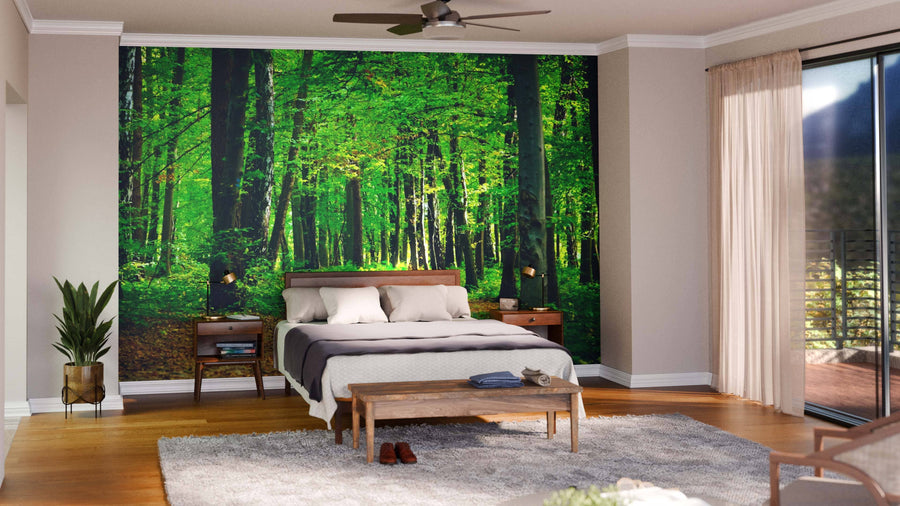 A modern bedroom showcases the Beautiful Beech Forest Wall Mural behind the bed, complemented by white bedding, wooden furniture, a gray rug, a potted plant, and sheer curtains over sliding glass doors that brighten the space.