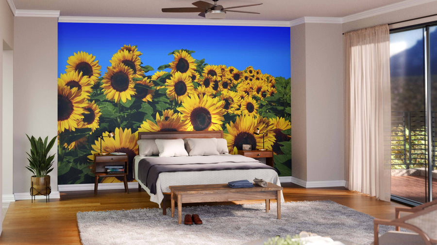A bedroom with the Beautiful Sunflower Field Wall Mural behind the bed, featuring white bedding, wooden furniture, a potted plant, ceiling fan, light walls, large window with sheer curtains, and hardwood floors with a gray rug.