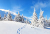 Snowy mountain landscape with fir trees and footprints in the snow – Peel and Stick Wall Murals