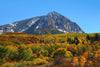 Capture the stunning view of a majestic snow-dusted mountain and vibrant autumn forest with the Beckwith Mountain Wall Mural, perfect for adding natural beauty to your space.