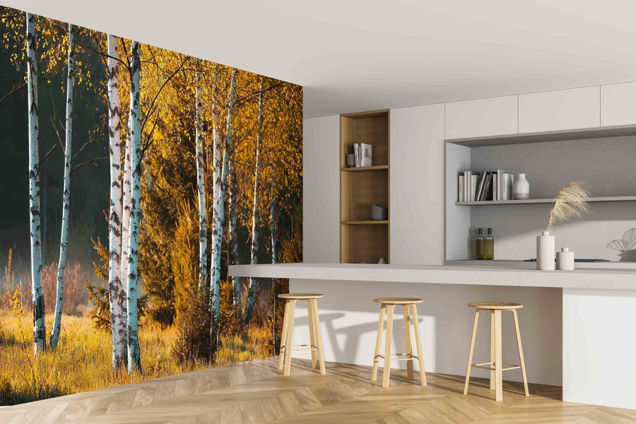 Birch Trees In Autumn Forest Wall Mural
