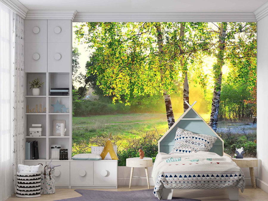 Birch Trees In A Summer Forest Wall Mural