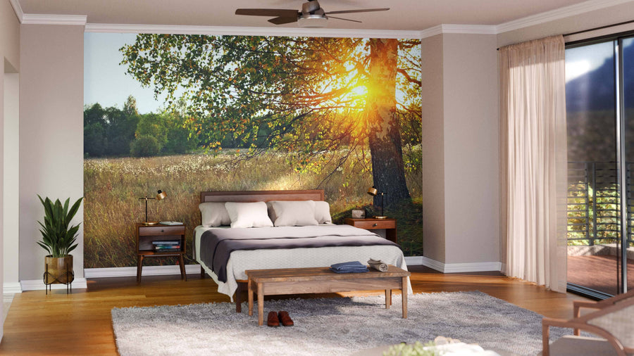 A modern open-plan living and dining room with wooden floors, teal armchairs, a patterned rug, and dining table features the Birch Tree Sunset Thru The Leaves Wall Mural as a striking feature wall. Pendant lights hang above; kitchen is visible in the background.