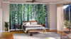 A modern bedroom features a Birch Trees In Summer Wall Mural behind a wooden bed with gray and white bedding, bedside tables with lamps, a plant, large window with sheer curtains, a bench at the foot of the bed, and a cozy rug on wooden floors.