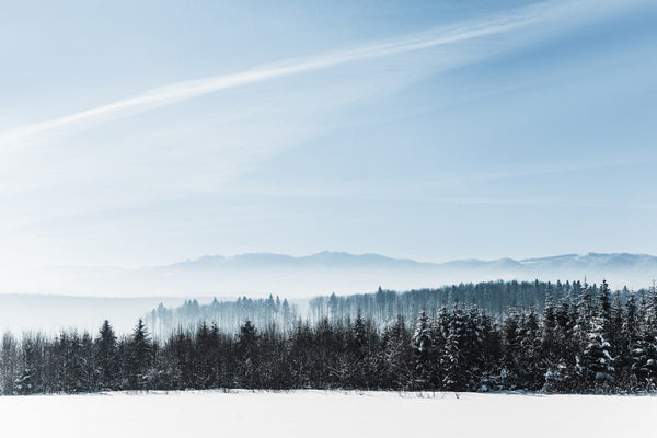 winter landscape with snow-covered field – Peel and Stick Wall Murals