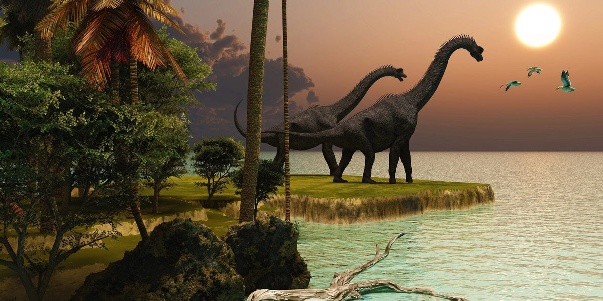 Brachiosaurus Peel and Stick Wall Mural Peel and stick Wall Mural Deposit photo Color Original Custom Size