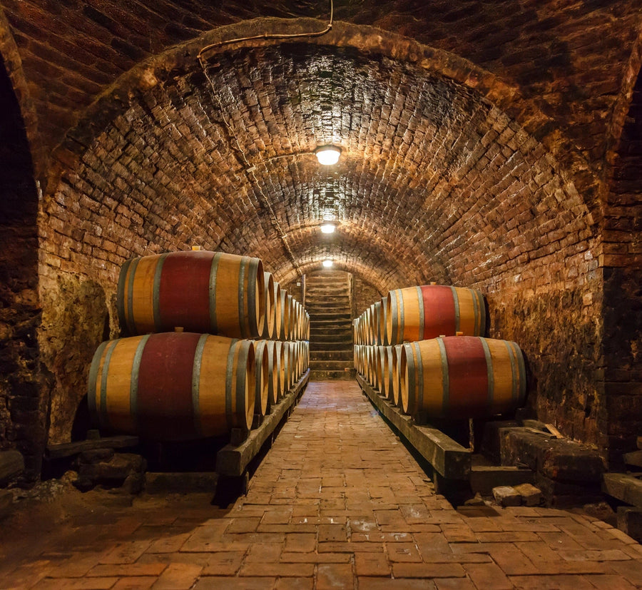 Modern café with wooden tables, stools, wine bottles on shelves, pendant lights, and a large Brick-Walled Wine Cellar Wall Mural featuring barrels. Sunlight streams in as small plants decorate the tables.