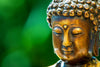 Buddha Head with Green Blurred Background – Peel and Stick Wall Murals