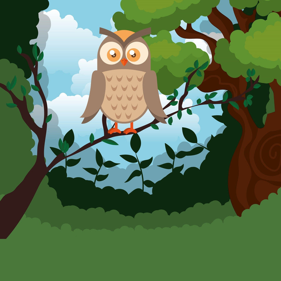A nursery with a white crib, orange blanket, round mirror, and wicker stool. Light streams in from sheer curtains onto the Calm Owl Wall Mural—showcasing a cartoon owl on a leafy branch under a blue sky.