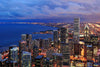 Chicago Skyline Dusk City and Lake Wall Mural Wallpaper Mural Color Custom Size