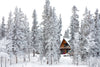 Christmas cottage nestled amidst snow-covered trees in a picturesque winter wonderland – Peel and Stick Wall Murals