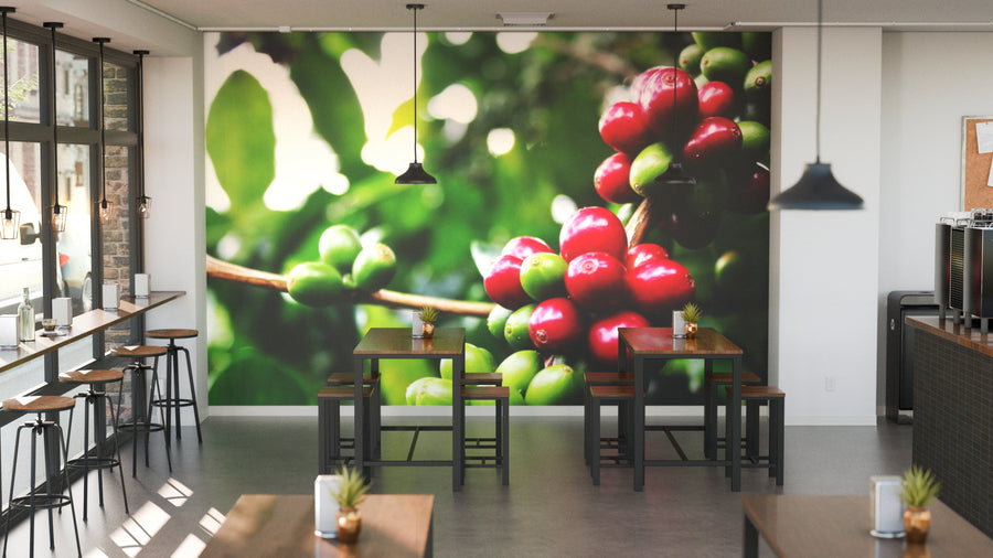 A modern café interior with wooden tables and stools features the Coffee Cherries on a Tree Wall Mural on the back wall. Pendant lights hang from the ceiling, while sunlight streams in through large windows on the left.