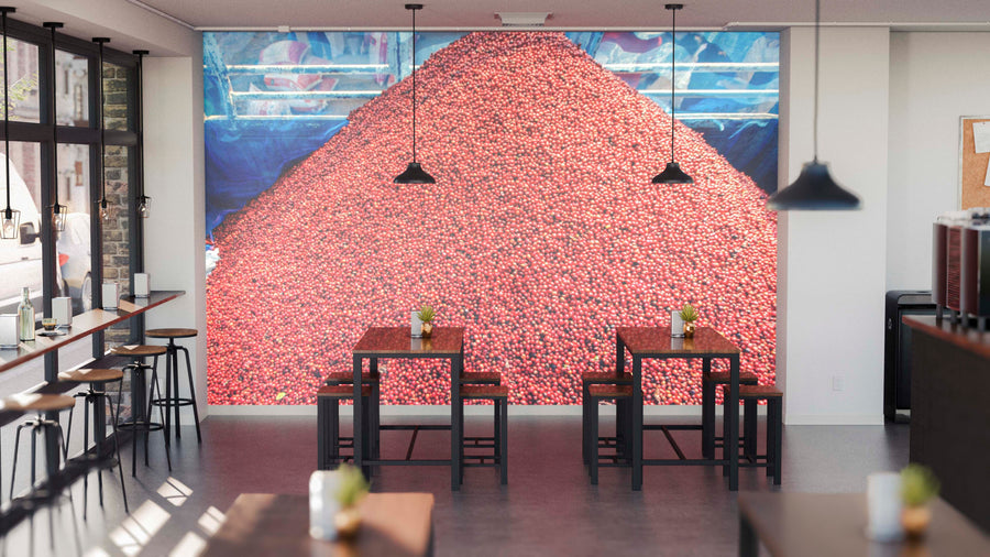 A modern café with wooden tables and chairs features the Bounty of Beans Wall Mural on its back wall. Pendant lights hang from the ceiling, sunlight streams in, and small plants adorn the tables.