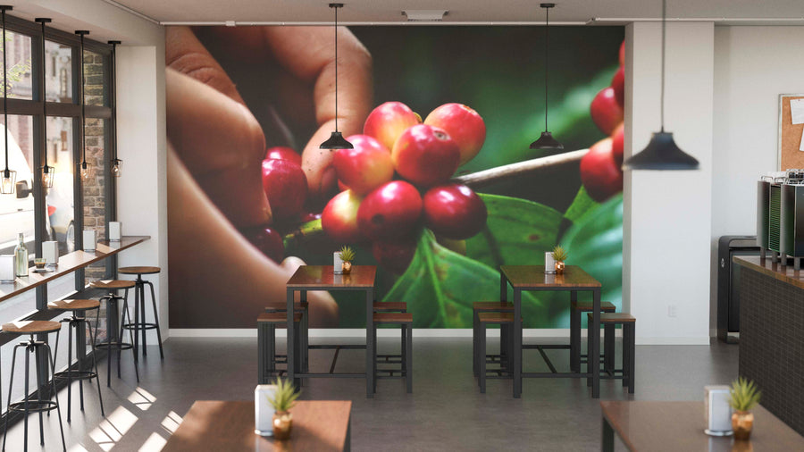 A modern cafe features wooden tables, stools, and potted plants. The Coffee Cherries Wall Mural depicts hands harvesting red coffee cherries, while black pendant lights create a cozy yet bright atmosphere.