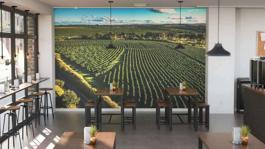 Modern café interior with wooden tables and chairs, potted plants on tables, large windows on the left, and a wall-sized Coffee Rows Wall Mural depicting a lush green vineyard under blue sky. Pendant lights illuminate cozy seating.