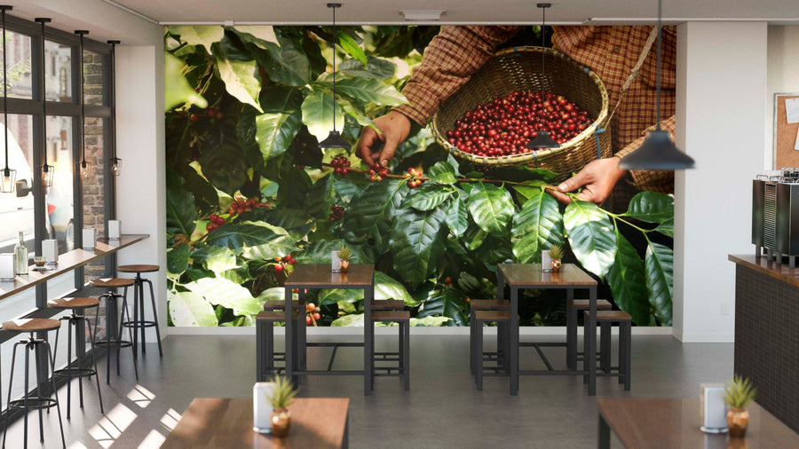 A modern café with wooden tables, chairs, large left-side windows, and a Farm to Cup Wall Mural depicting coffee cherry harvesting. Small potted plants decorate the tables.