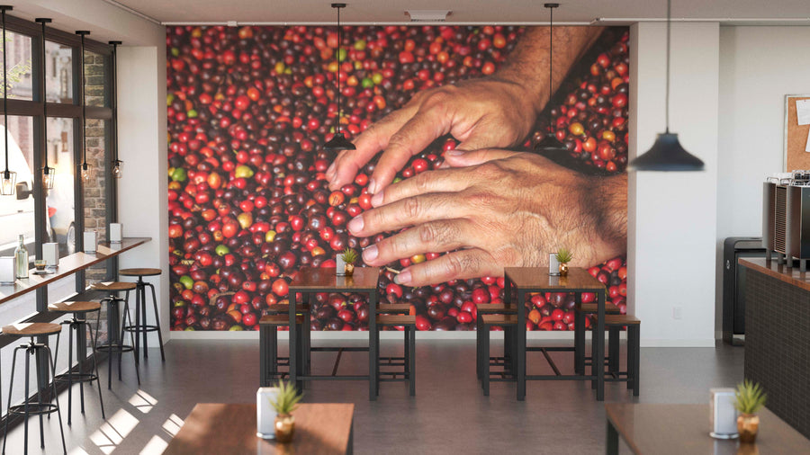 A modern café with wooden tables and stools features the Hands in Coffee Cherries Wall Mural, showing two hands touching red coffee cherries. Large windows bring in natural light, and small plants decorate the tables.