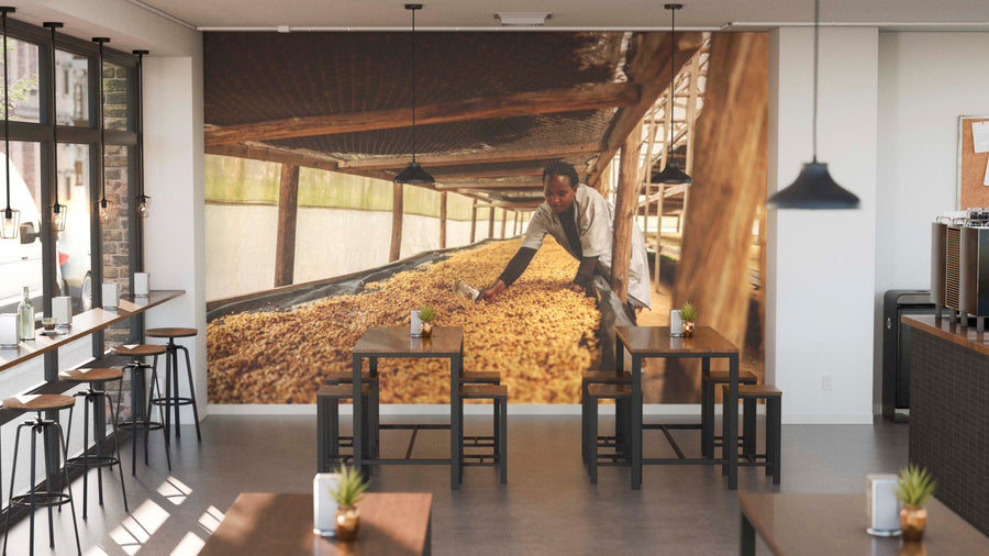 A modern café interior with wooden tables, potted plants, and large windows features the Hands of the Harvest Wall Mural—depicting a person sorting coffee beans outdoors—to add character and warmth to the inviting space.