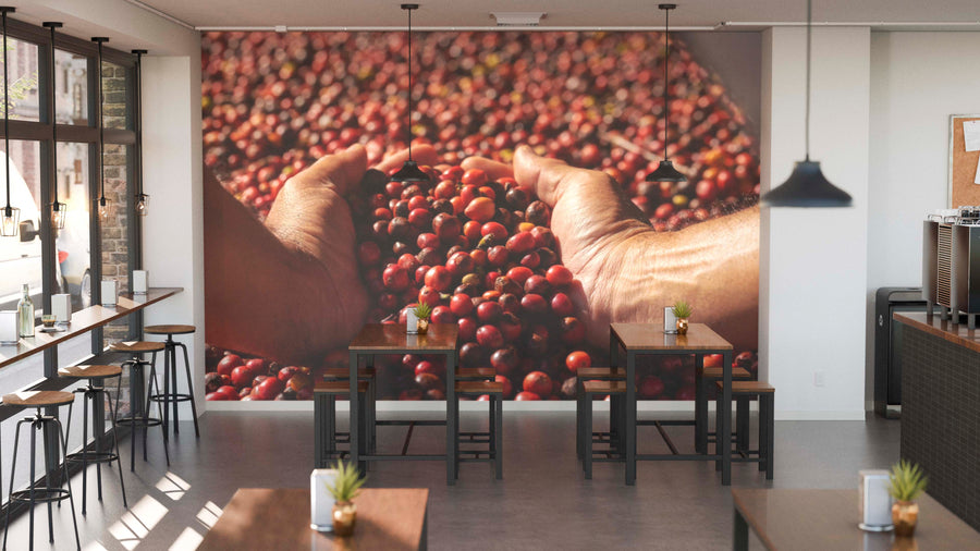 A modern café with wooden tables, stools, small potted plants, and the Harvest in Hand Wall Mural depicting hands holding coffee cherries. Bright natural light streams in from large windows on the left.